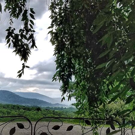 Blue Ridge Manor Bed And Breakfast Fancy Gap Ngoại thất bức ảnh